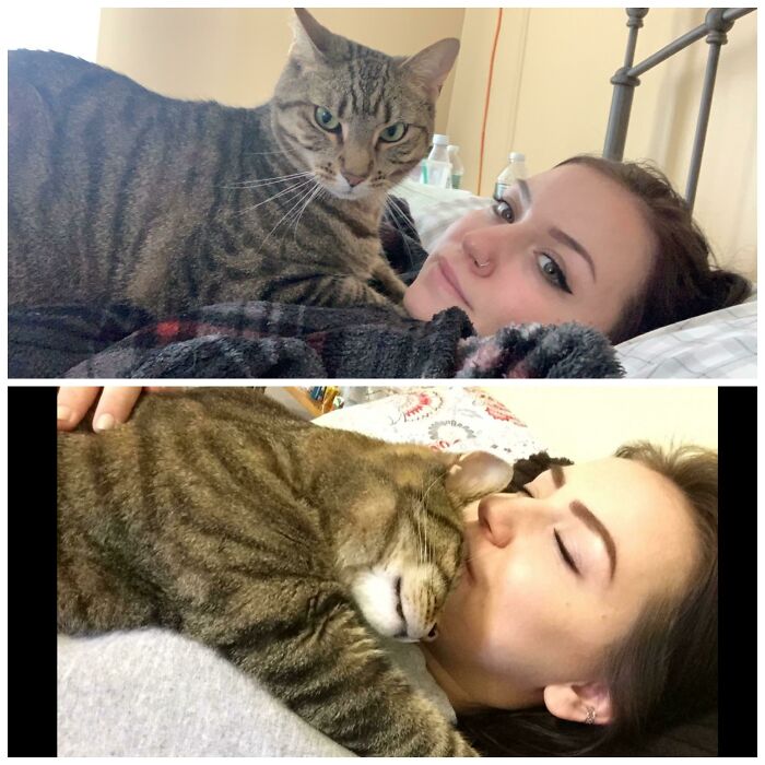 This Is Spark. Every Time I Lay On My Back He Sits On My Chest