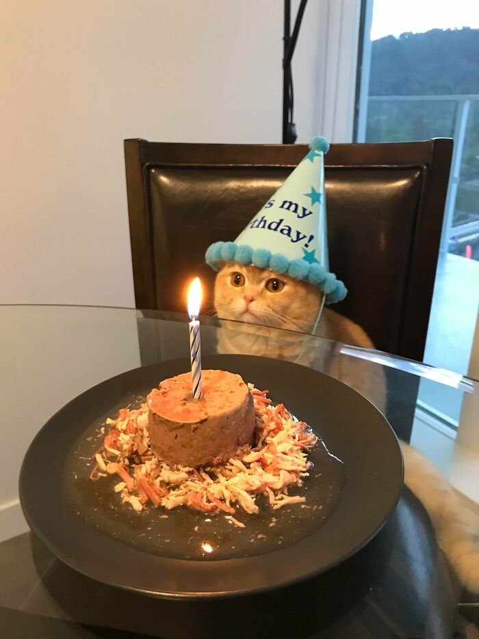 It Was Yogurt’s 1st Birthday!