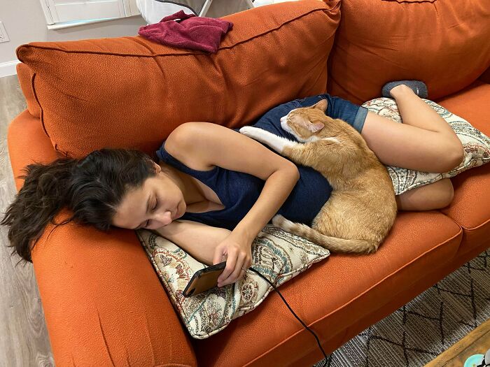 My Wife Is Three Weeks Away From Her Due Date And Our Cats Love Snuggling Her Belly