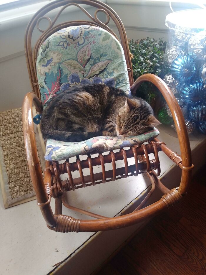 18 Years, Two Wives, 4 Children, Military To Civilian Life, My Old Lady Has Been Through Every Significant Event In My Life