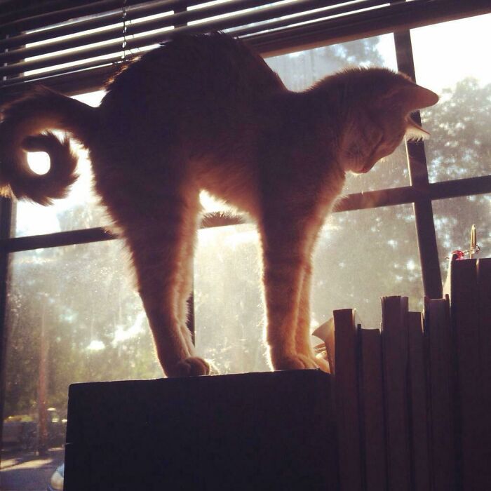 Prettiest Picture Ever For My Prettiest Little Girl