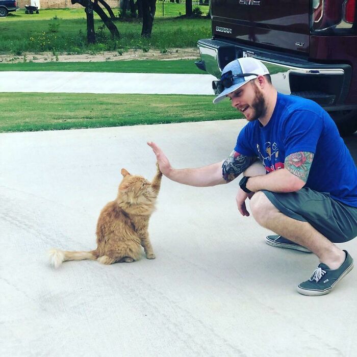 This Is My Wife’s Cat That Still Lives At Her Parents. I’m Kind Of His Favorite