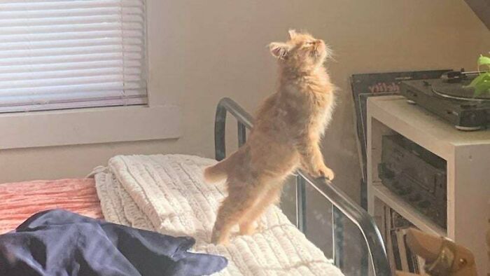 He's Having A Main Character Moment