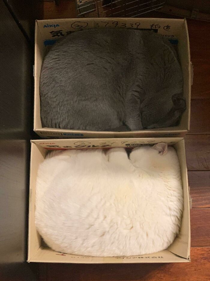 Perfect Fit