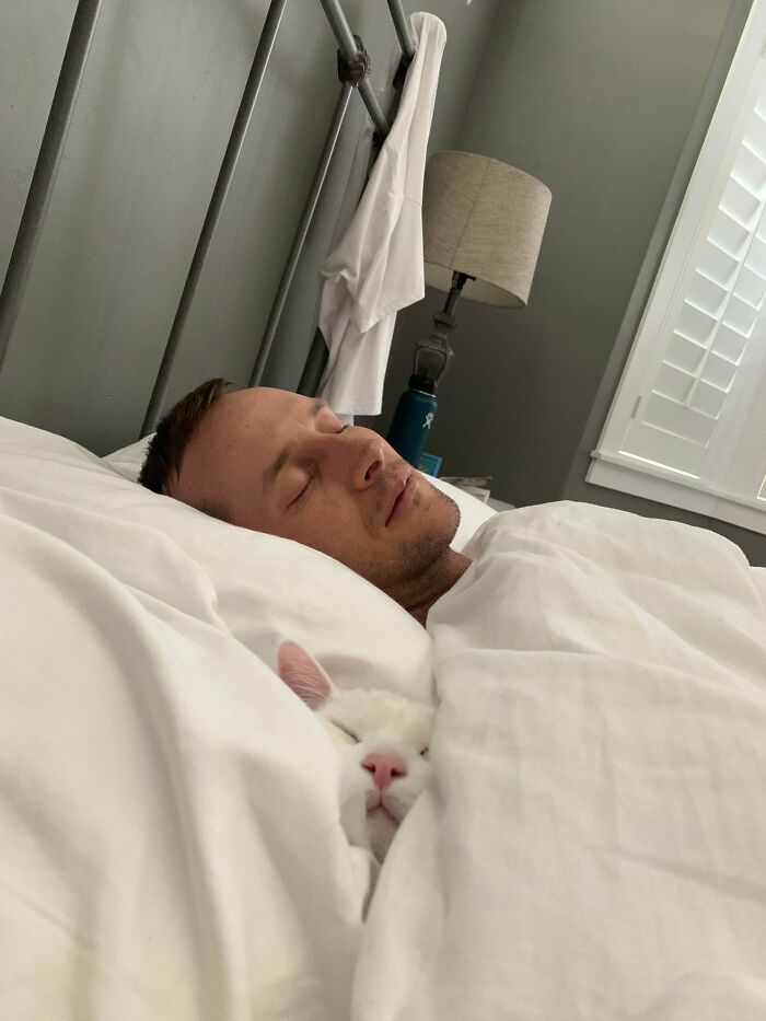 “Babe, Of Course The Cat Will Never Come Between Us...”