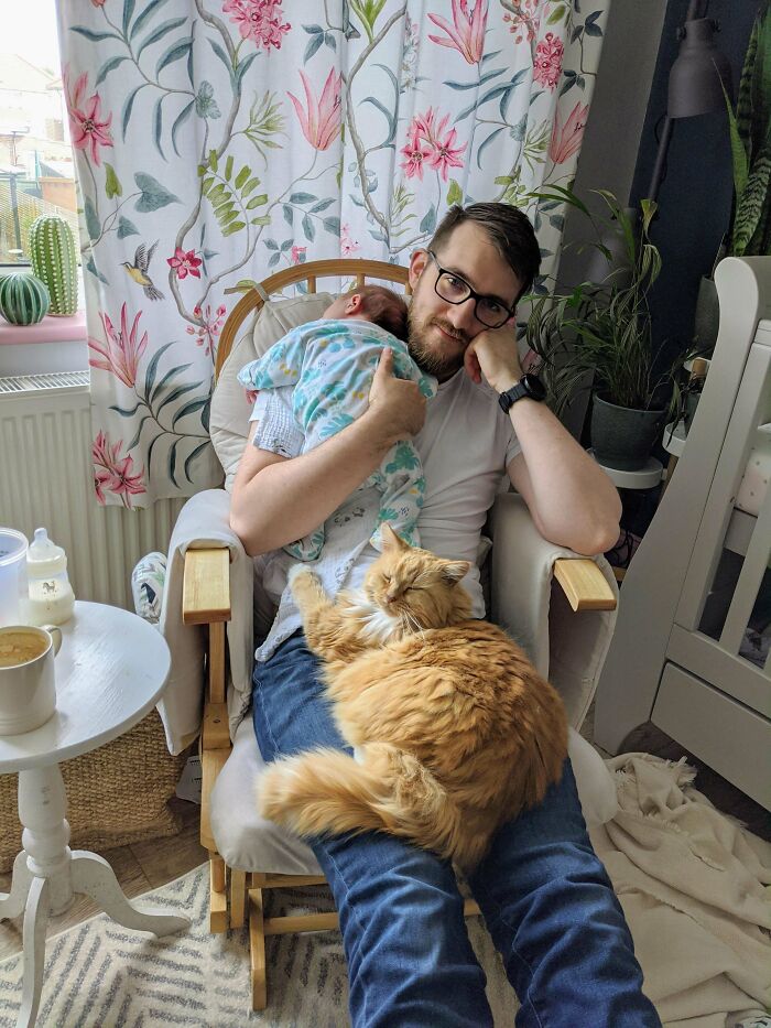 It's Taken 3 Weeks, But The Aloof Floof Has Finally Decided That Our Daughter Is Now Part Of The Family