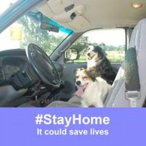 behappysmilexoxo avatar