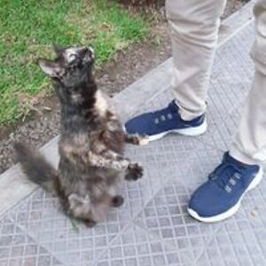 delthefunkee3030 avatar