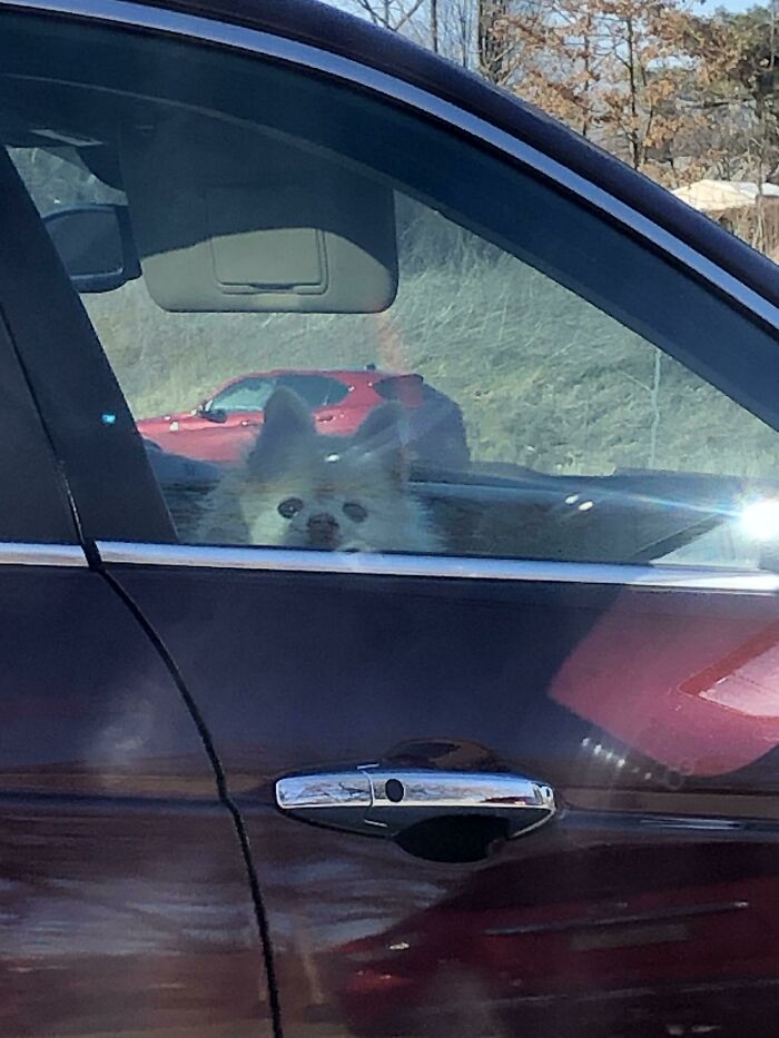 At A Red Light Next To Me