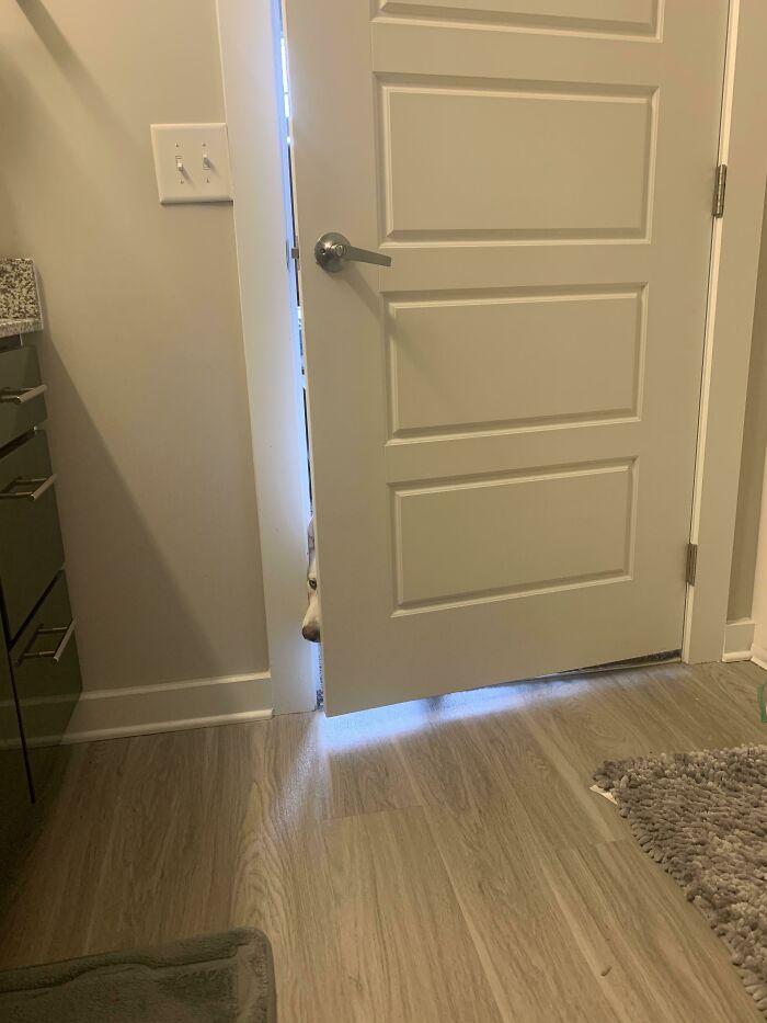 No Such Thing As Privacy In This House