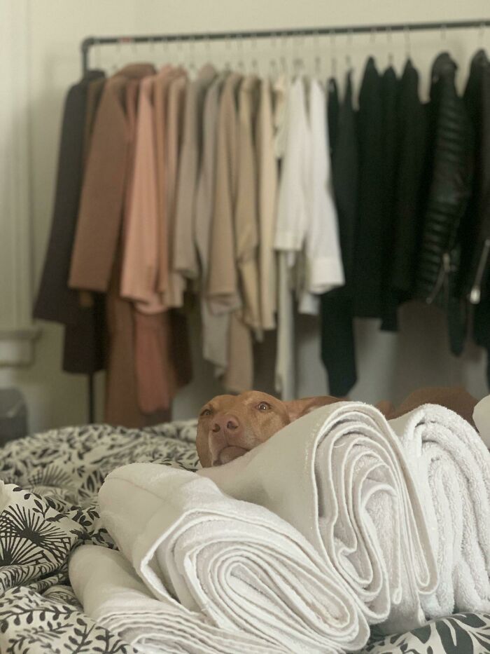 Oh, You’re Trying To Put These Away?