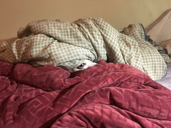 Every Single Night It’s Some Version Of This