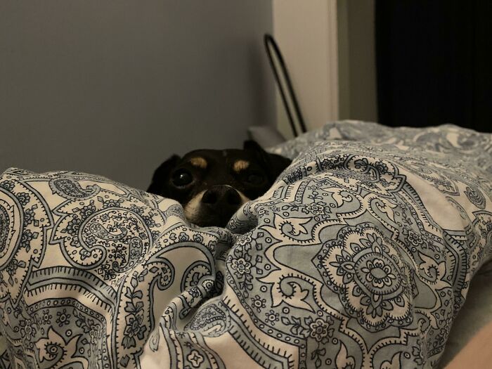 My Favorite Person In The Whole World