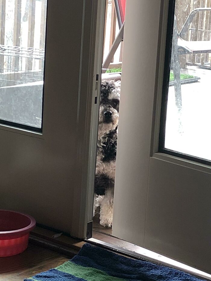 I Always Feel Like Somebody’s Watching Me