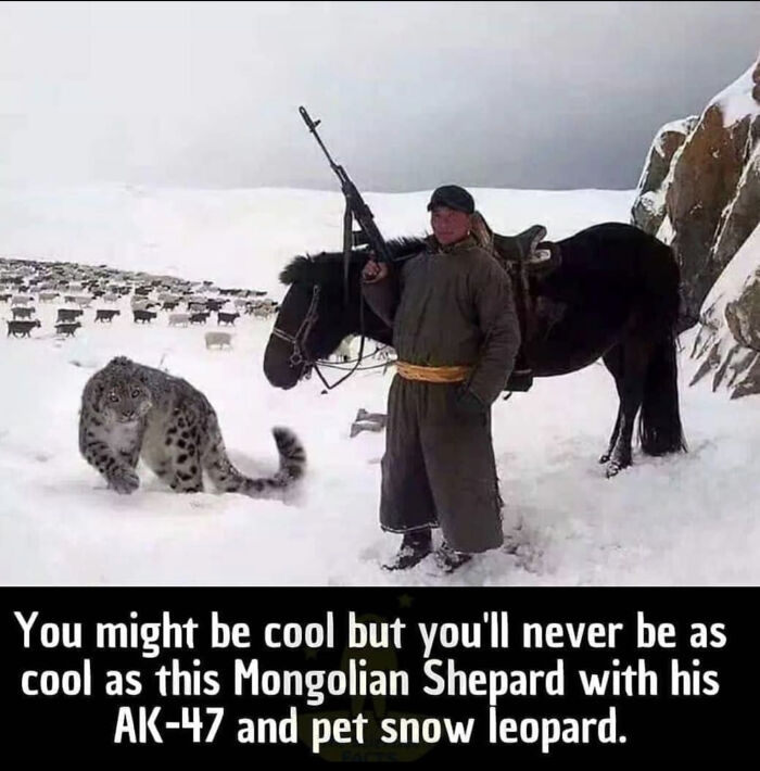 I Am So Not This Cool