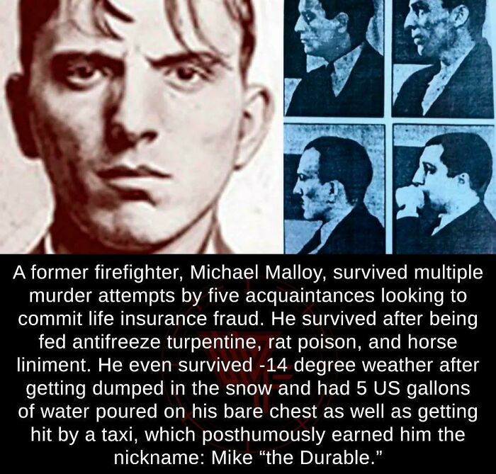 Mike 'The Durable' Malloy - History's Most Stubborn Murder Victim