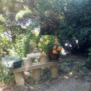 nella_saint-felix avatar