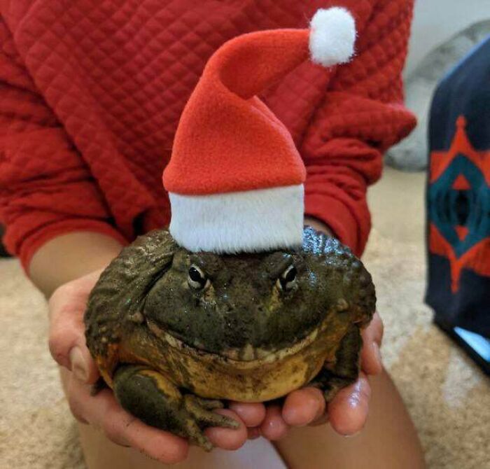 Merry Christmas From The Dirt Beast