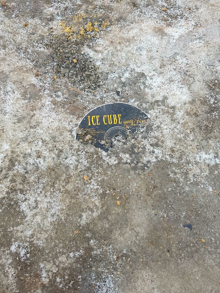 Ice Cube Cd Frozen In Ice