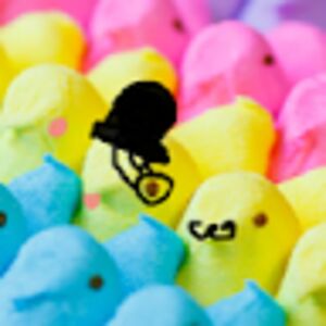 summerazevedo avatar