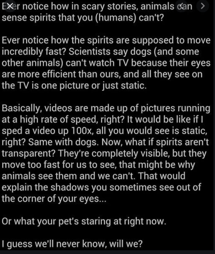 This One Scares The Shit Outta Me