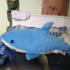 marcelmichalski avatar