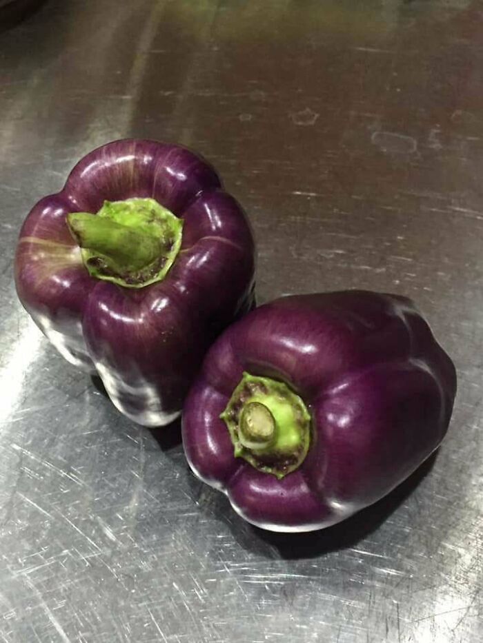 Purple Peppers