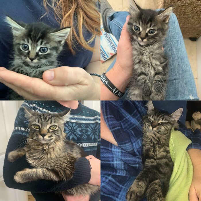 This Is Riley. She Was One Of A Litter Of Fosters And I Really Thought I Might Lose Her