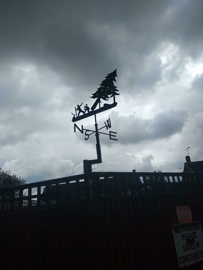 Apparently North Is Opposite To East