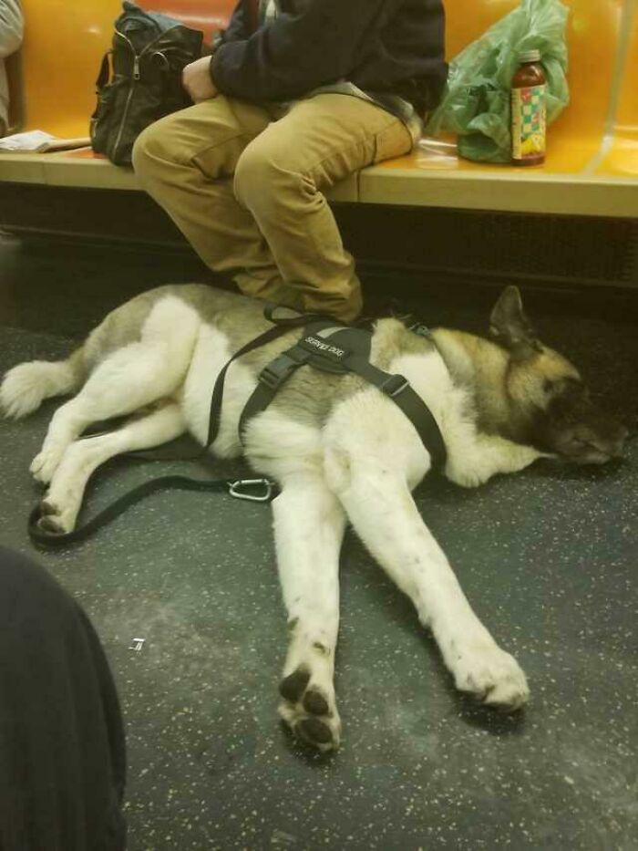 Big Boy Tired On Subway After A Long Day Of Service