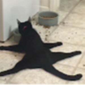 alexanderrivard avatar