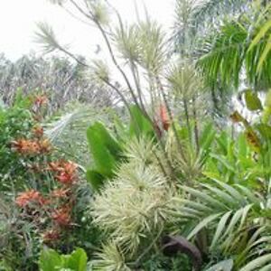 ericbrichardson avatar