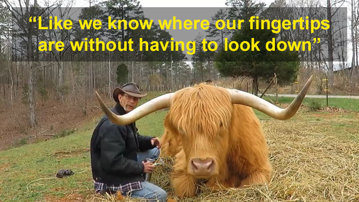 'If You're Being Poked, It's Intentional': Farmer's Video Where He Grooms A Long-Horned Scottish Highland Cow Goes Viral 'If You're Being Poked, It's Intentional': Farmer's Video Where He Grooms A Long-Horned Scottish Highland Cow Goes Viral