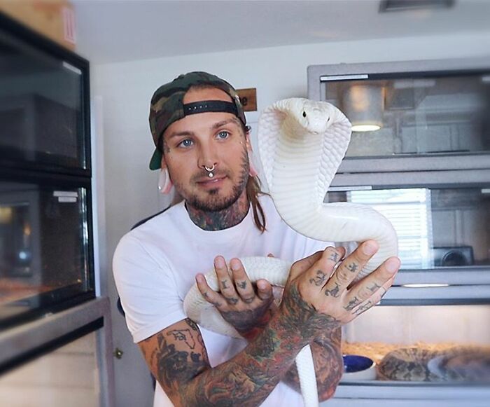 Different-Color-Things