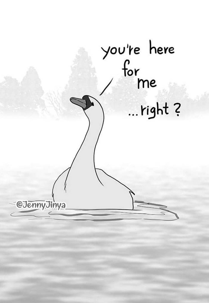 Artist Who Makes People Cry With Her Animal Comics Just Released A New One About A Swan Inspired By True Events Artist Who Makes People Cry With Her Animal Comics Just Released A New One About A Swan Inspired By True Events