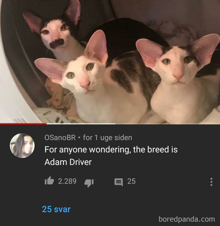 They Do Look Alike To Be Fair