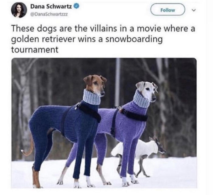 C'mon Jessica, We'll Get Him Next Time.