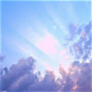 marcinmiszkurka avatar