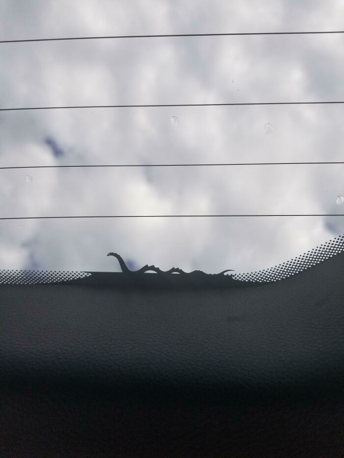 I Found This Tiny Snake On My Rental Car