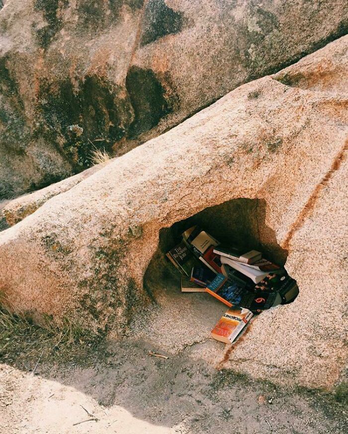 This Desert Library I Found At Joshua Tree National Park