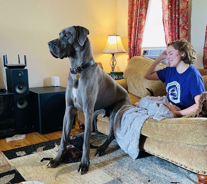 My Daughter Laughing At Franky Sitting Like A People