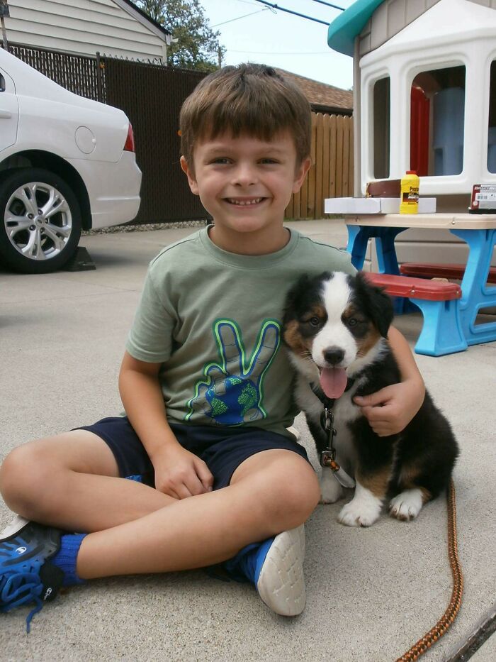 New Best Friends! My Boy's New Buddy, An 8 Week Old, Black-Tri Australian Shepherd. By The End Of Day 1, This Pup Was Attached To My Son Like Glue. Such An Amazing Pup