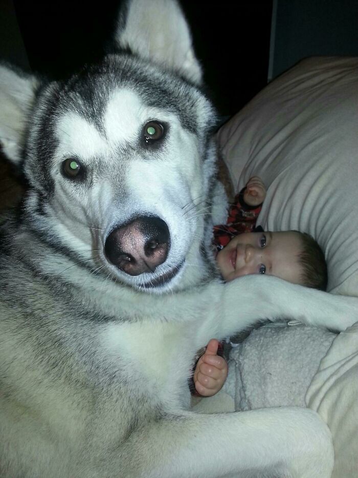 The Exact Moment My Pup And Son Became Best Friends