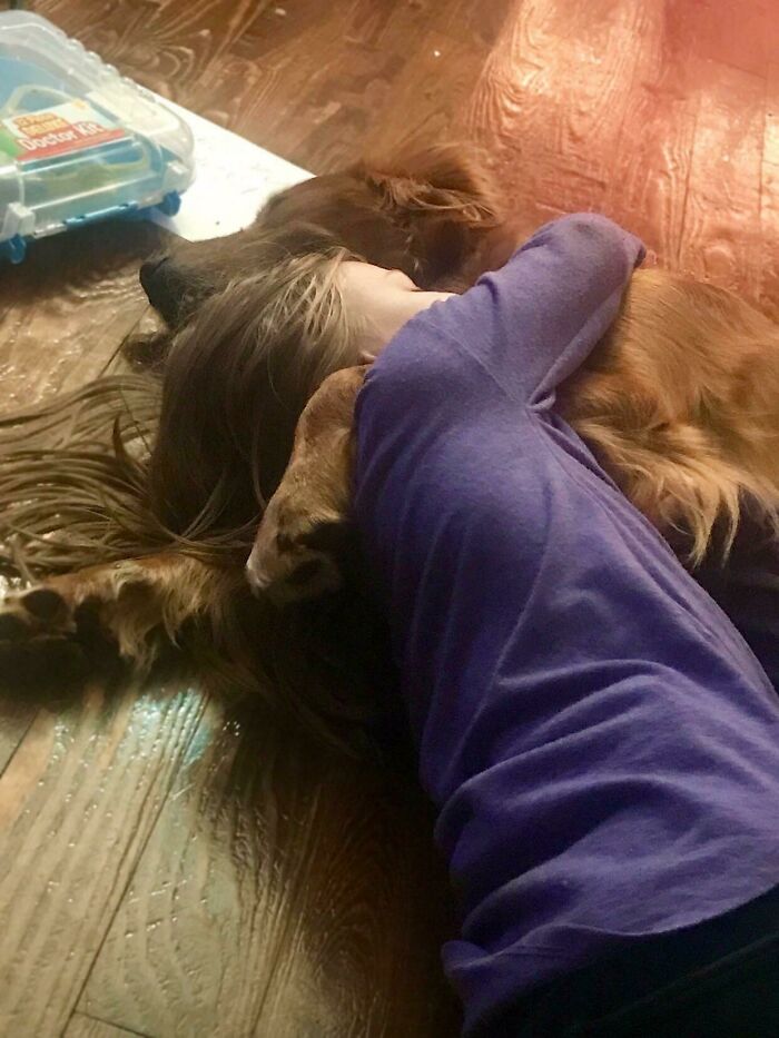 My Daughter’s Dog Always Knows When Her Blood Sugar Is Off And Stays By Her Side