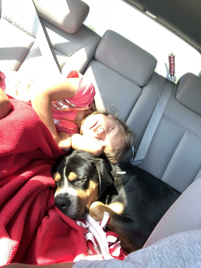 My Daughter And My Dog. Look At These Two