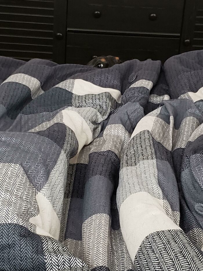 "She Can't See Me. I'm Definitely Getting Some Of That Pizza"