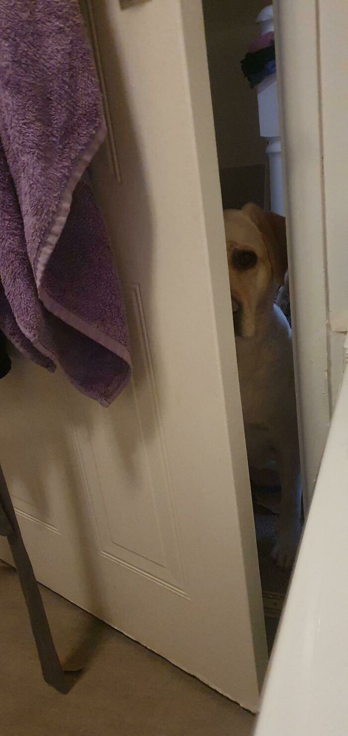 I Made The Mistake Of Half-Heartedly Shutting The Bathroom Door