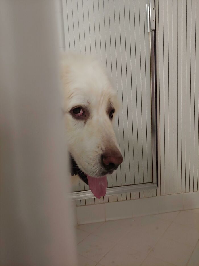 Can I Take My Shower Please?