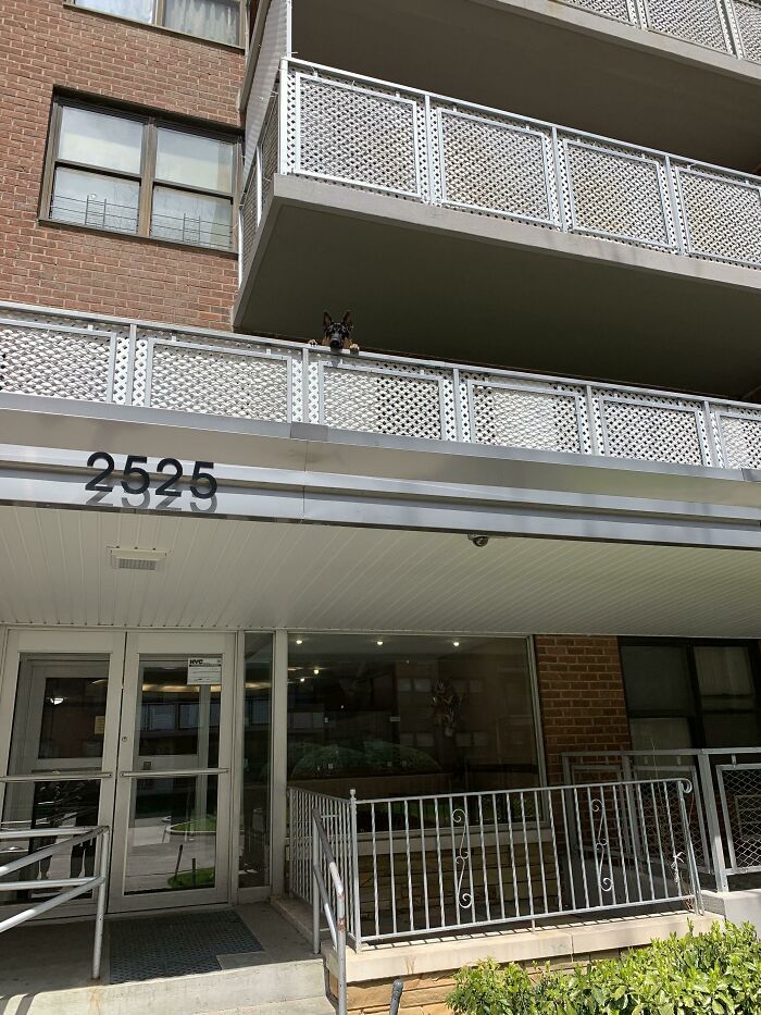 Sometimes See Him While Going Home