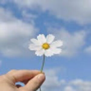 Đàm Nguyễn Xuân Duyên